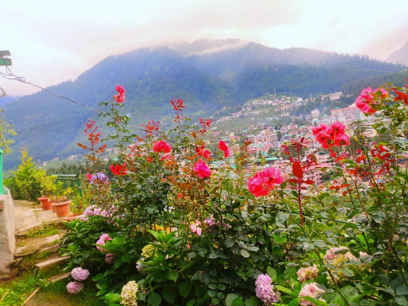 Cupidtrails-Himalayan Castle Villa Manali  Bilik gambar