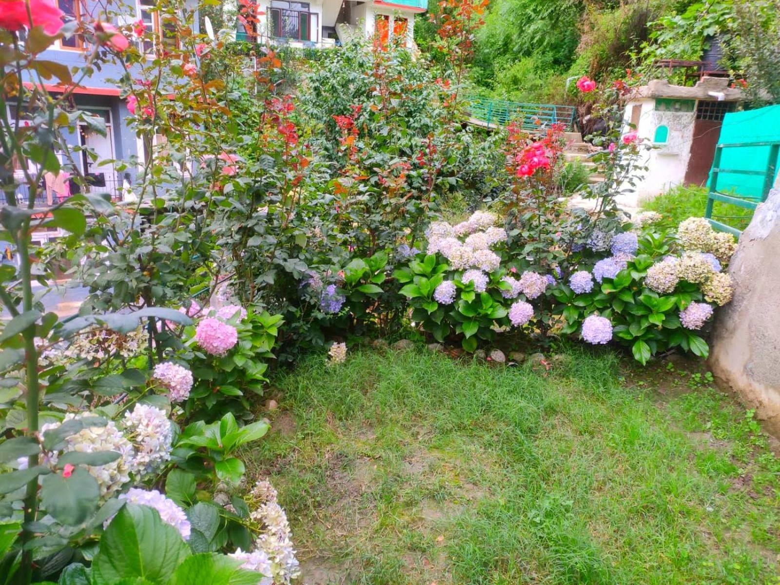Cupidtrails-Himalayan Castle Villa Manali  Bilik gambar